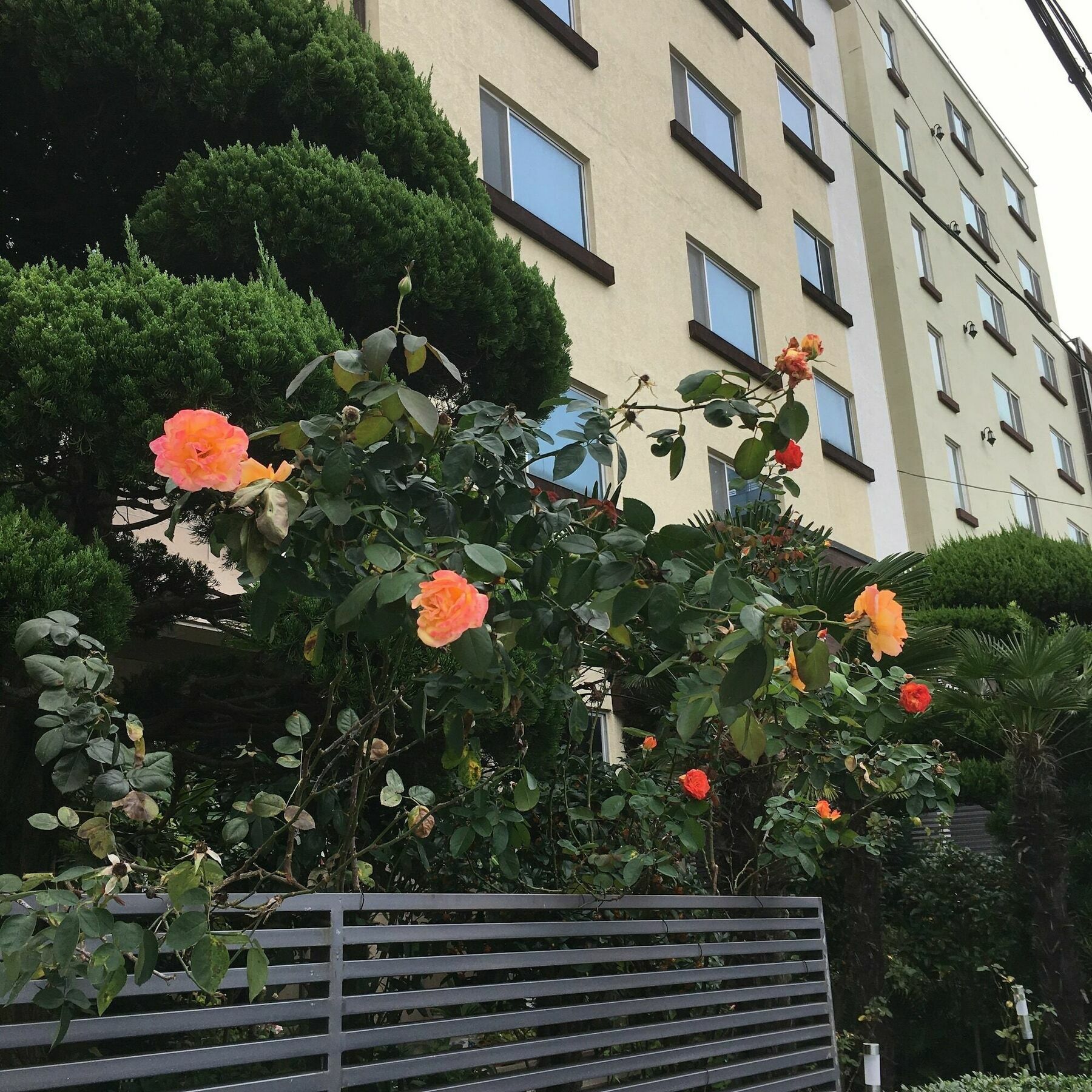 מוקפו Charmant Hotel מראה חיצוני תמונה
